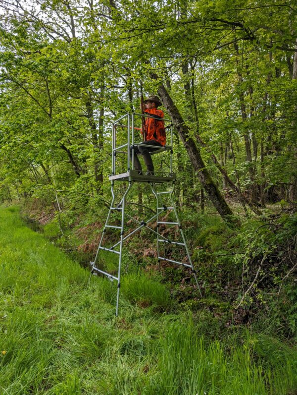 Mirador de chasse