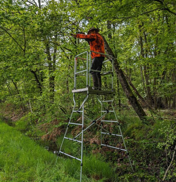 Mirador de chasse